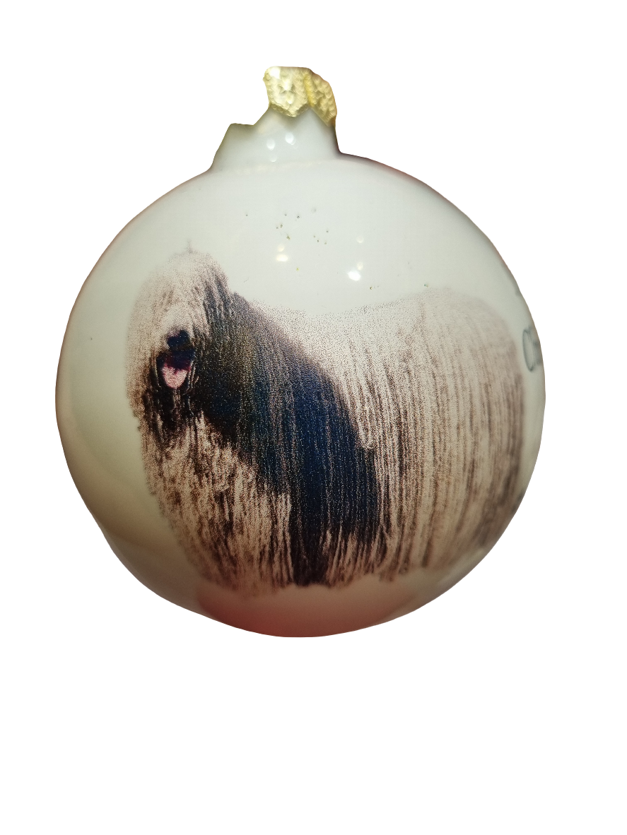 European Glass Christmas ornament of a Baubles | Merry Christmas Dog (F)
