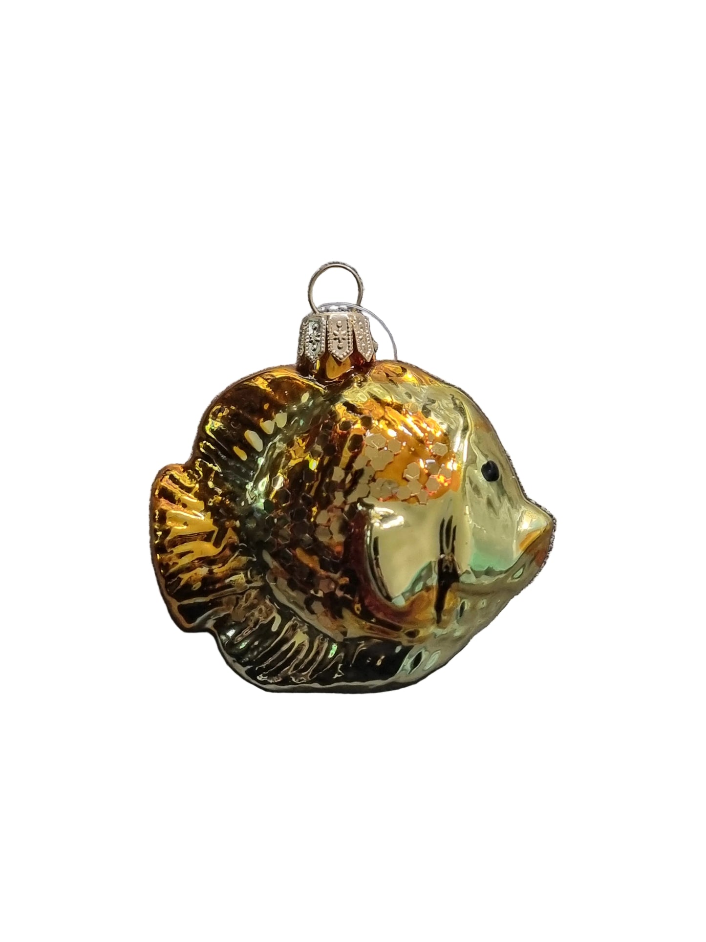 Fish | Glittery Scales (I)