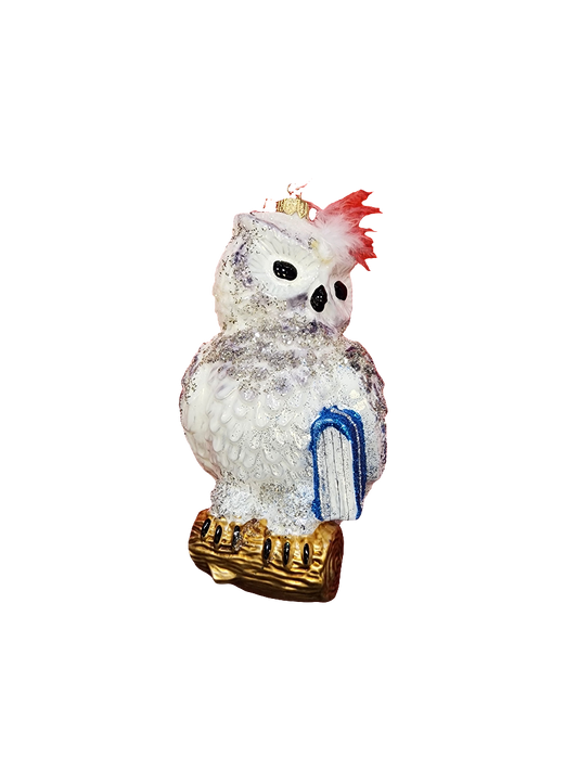 European Glass Christmas ornament of a Owl Large on Branch with Book (V)