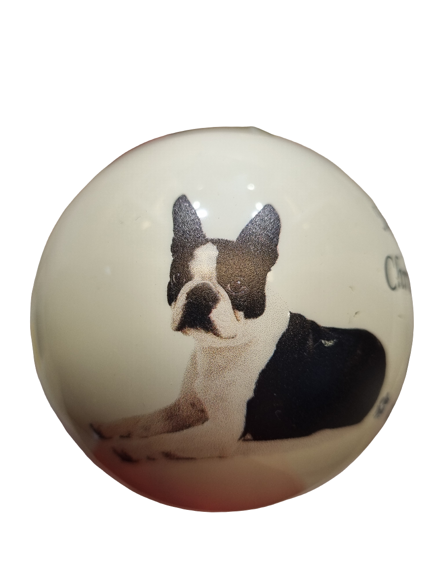 European Glass Christmas ornament of a Baubles | Merry Christmas Dog (F)