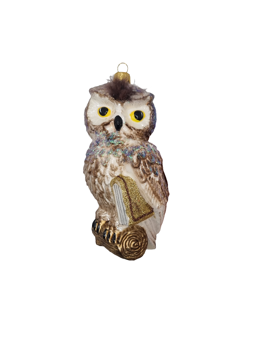 European Glass Christmas ornament of a Owl with Book (V)