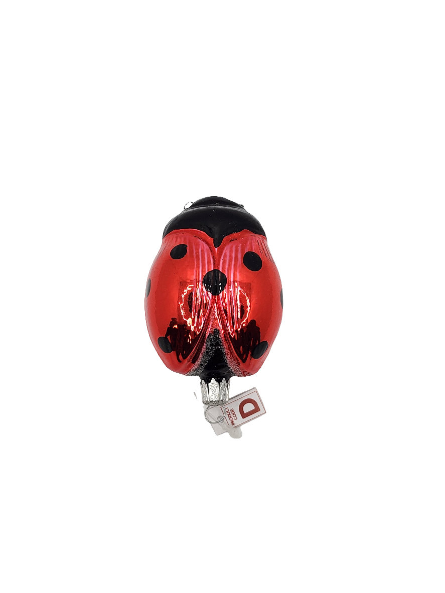 European Glass Christmas ornament of a Ladybird/Ladybug | Large (I)