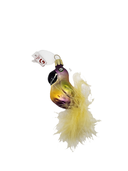 European Glass Christmas ornament of a Toucan small with tail (G)