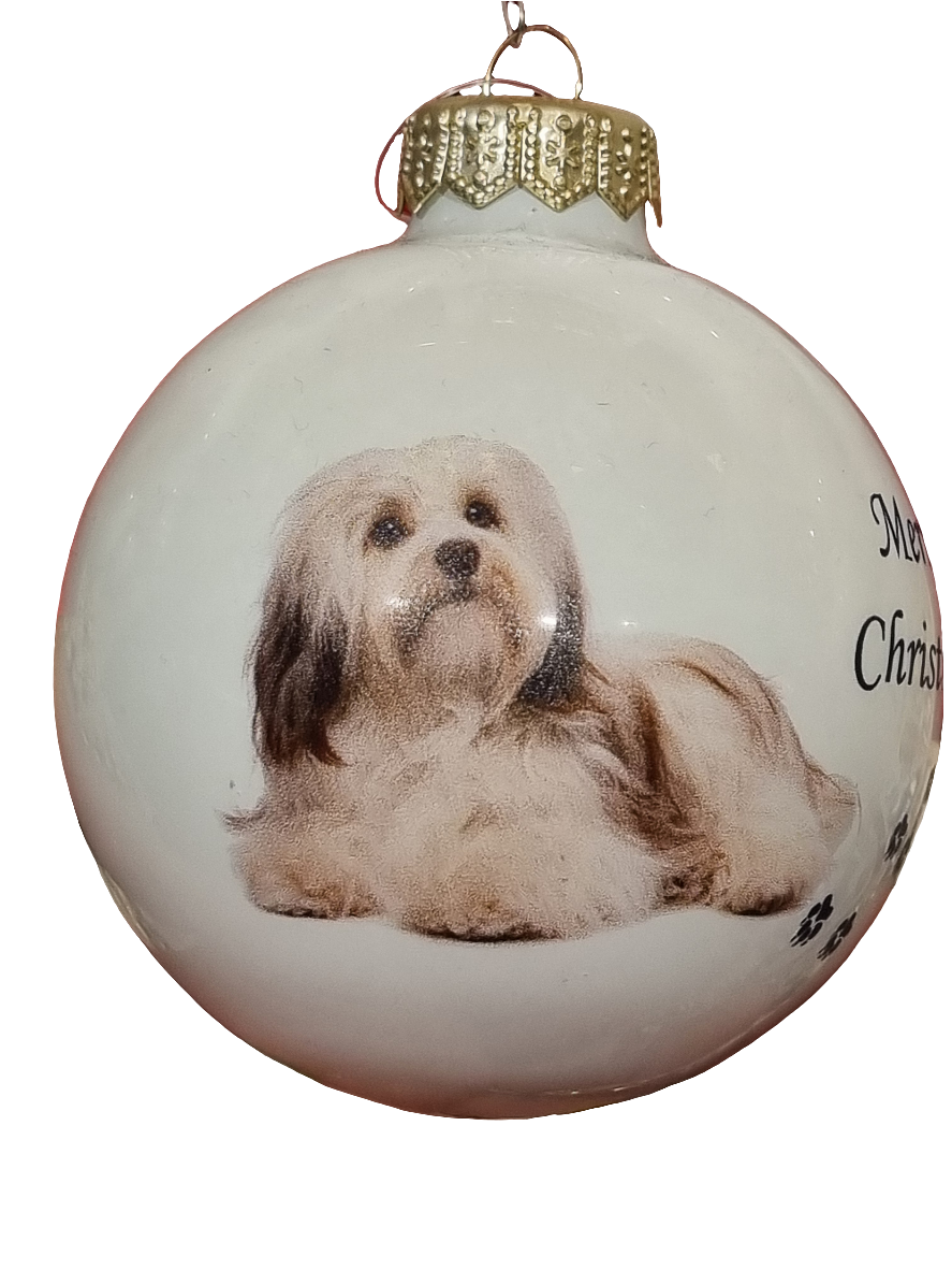 European Glass Christmas ornament of a Baubles | Merry Christmas Dog (F)