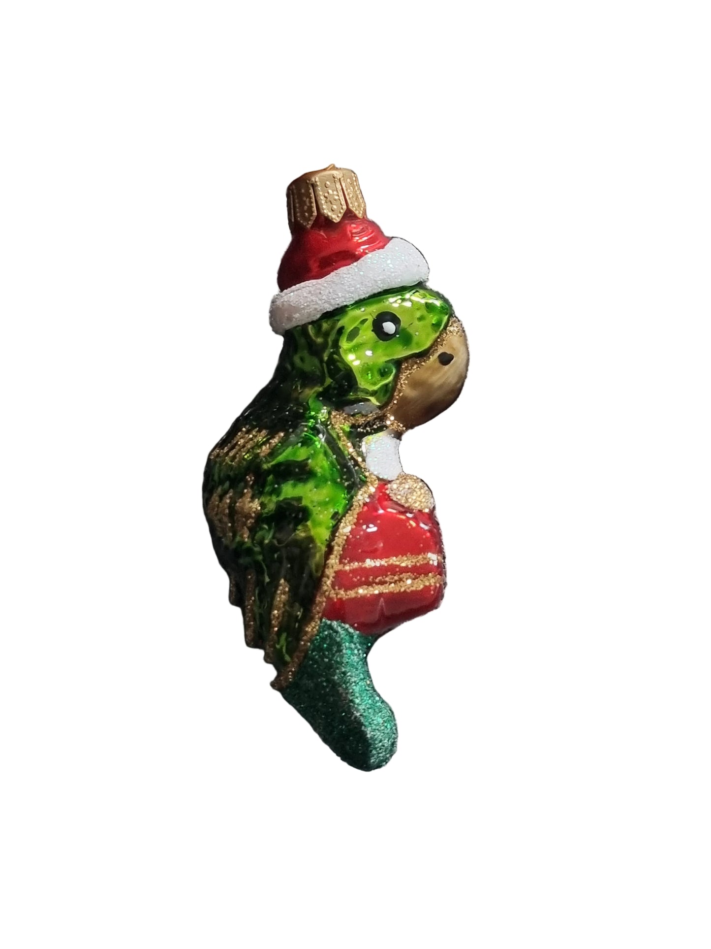 Parrot with Christmas Hat (I)