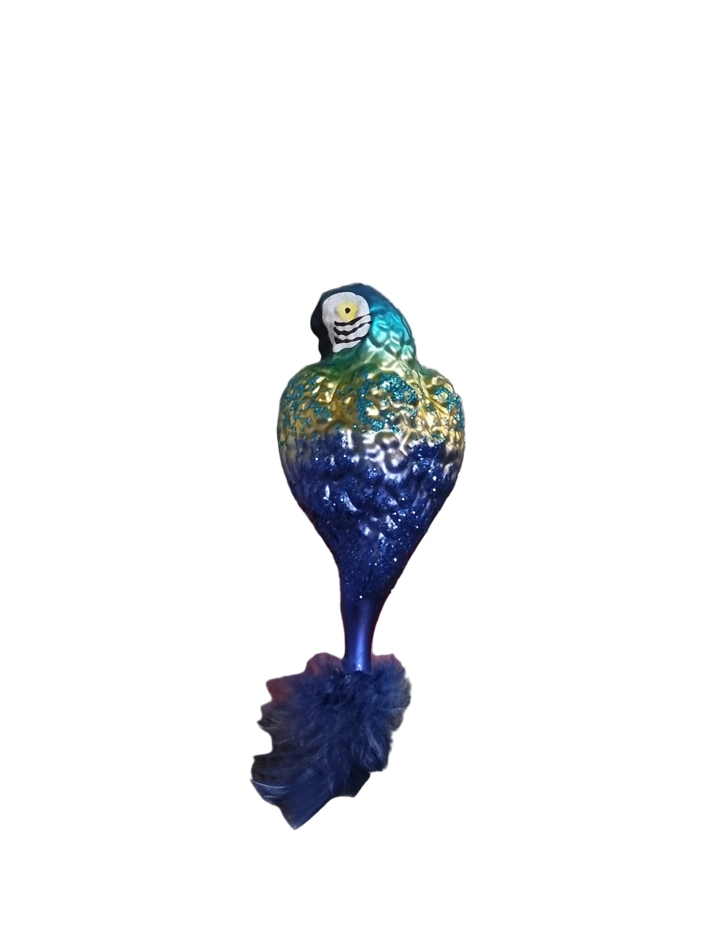 A blue and gold parrot 