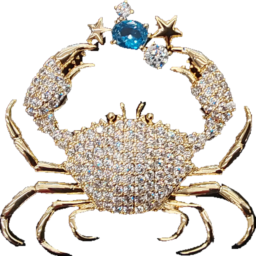 Crab | Brooch VII