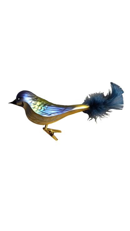 Birds on Clip (I) | Robins, Cardinals and Shrikes