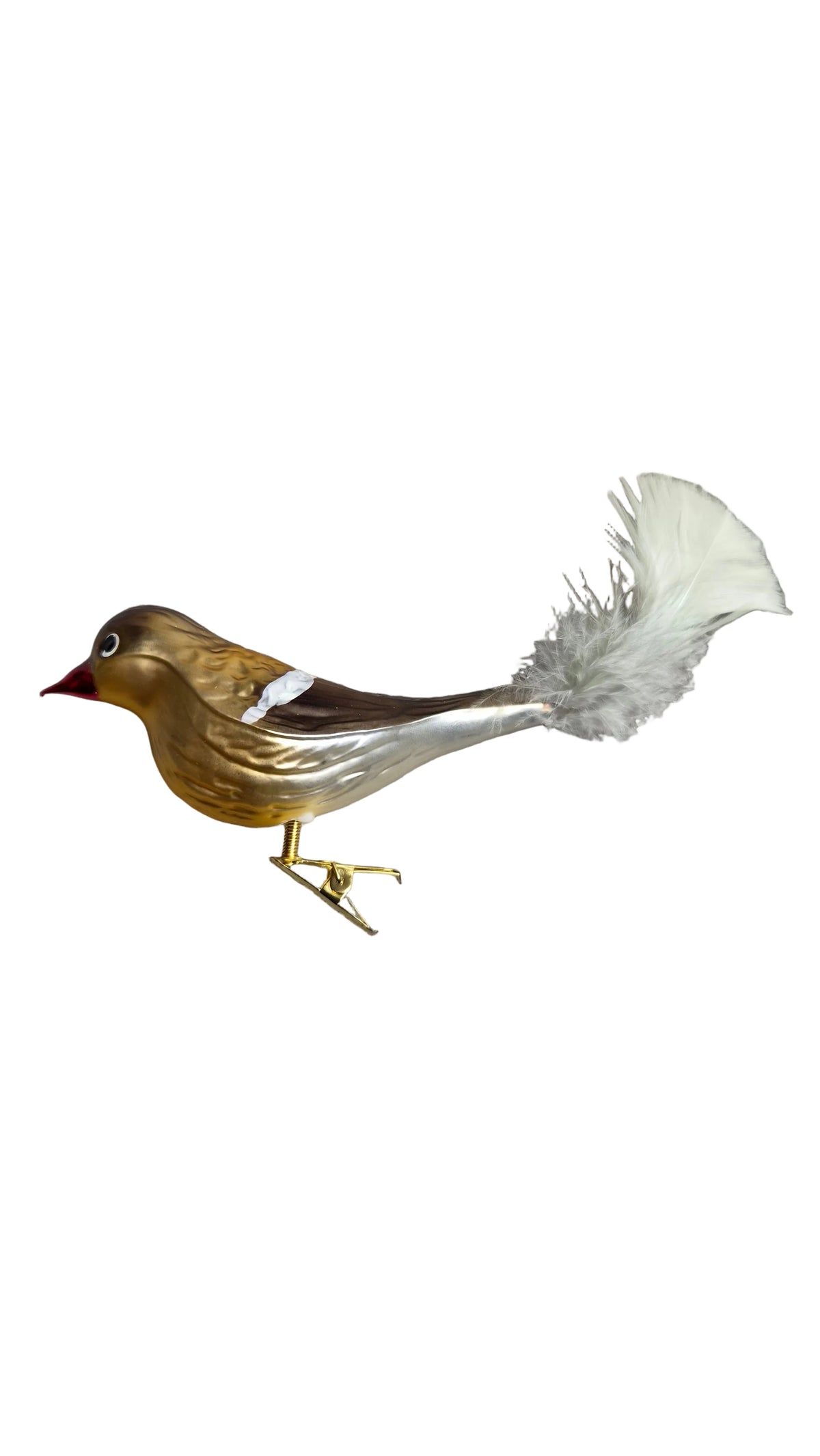 Birds on Clip (I) | Robins, Cardinals and Shrikes