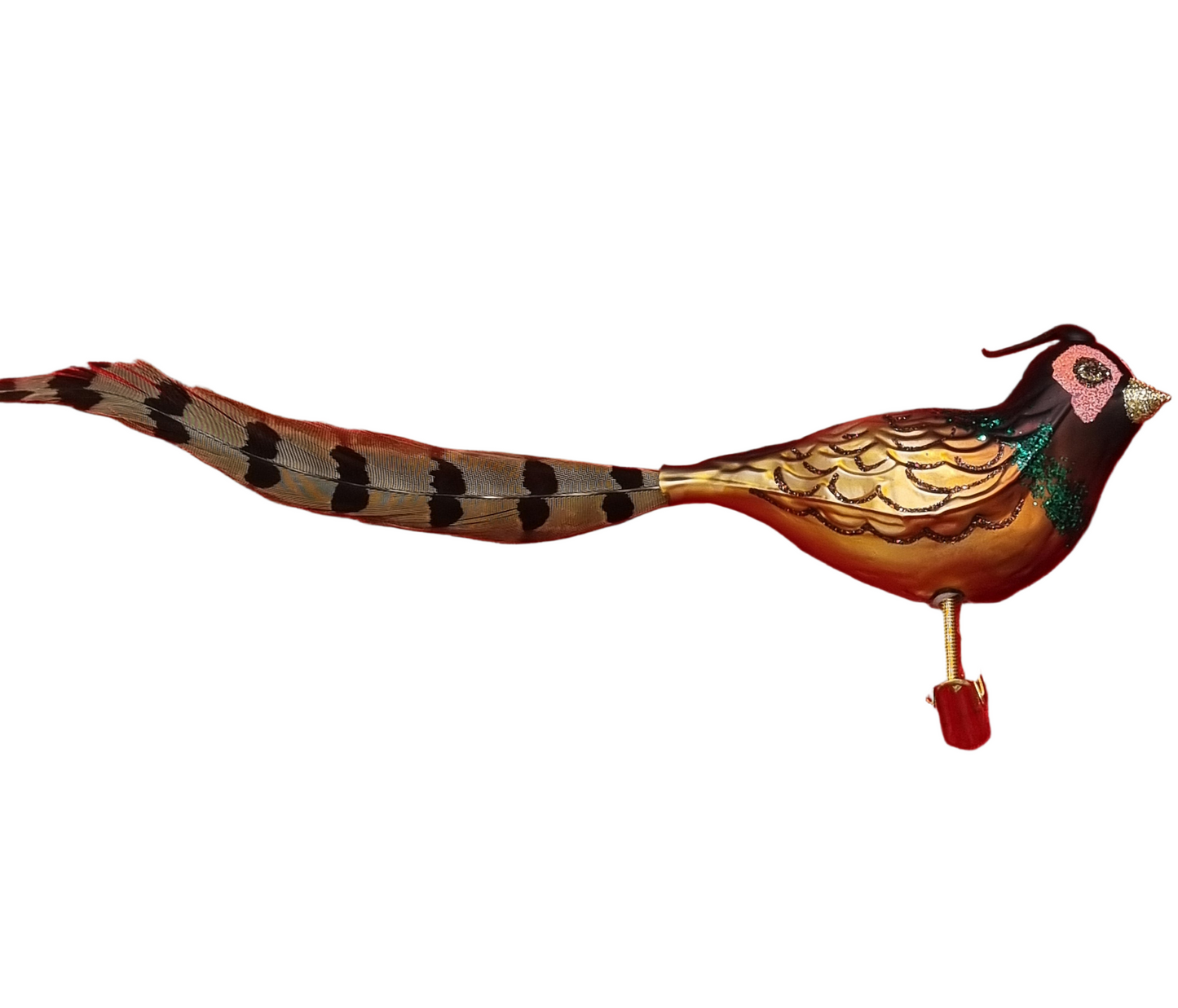 Pheasant with Long Tail | Birds on Clip (N)